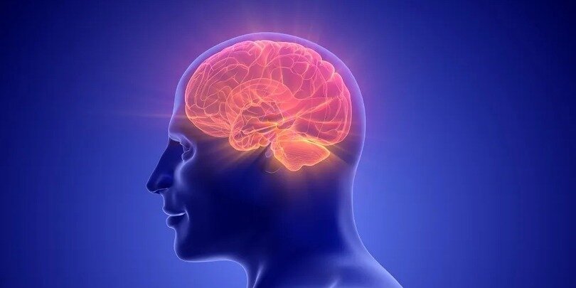 მეცნიერებმა დაასახელეს სამი პროდუქტი, რომელიც თქვენს ტვინს ახალგაზრდობას შეუნარჩუნებს